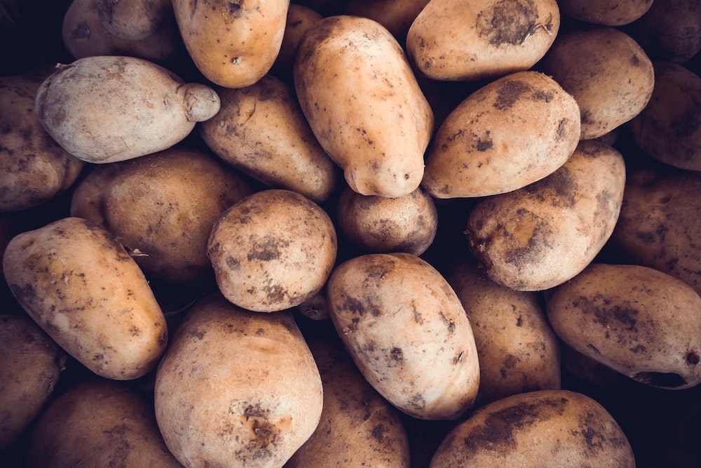 L'art de cultiver des pommes de terre : une science à portée de main